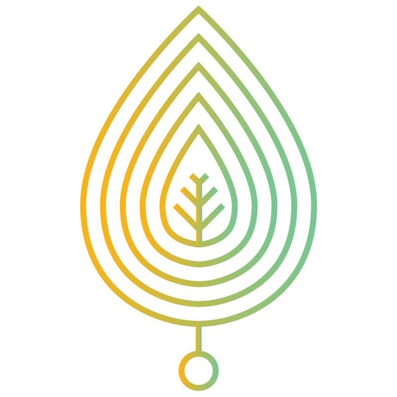 Sustainability in Action​