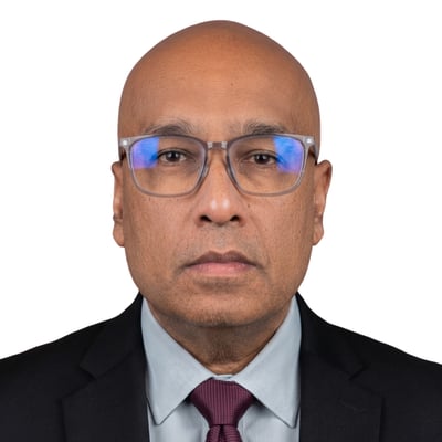 Nilanjan Ray