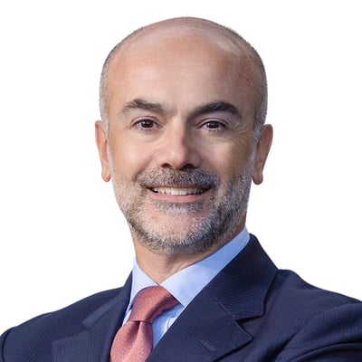 Domenico Nardelli